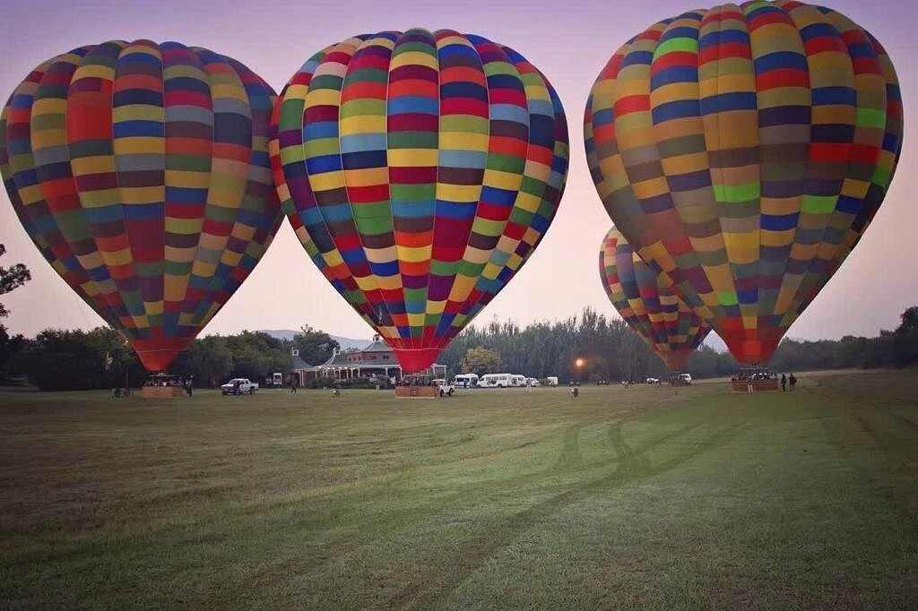 Balloon Safari in Magaliesburg