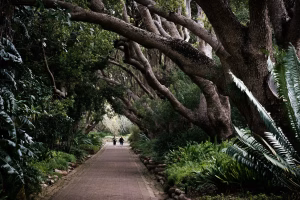 Planning a weekend in Cape Town?