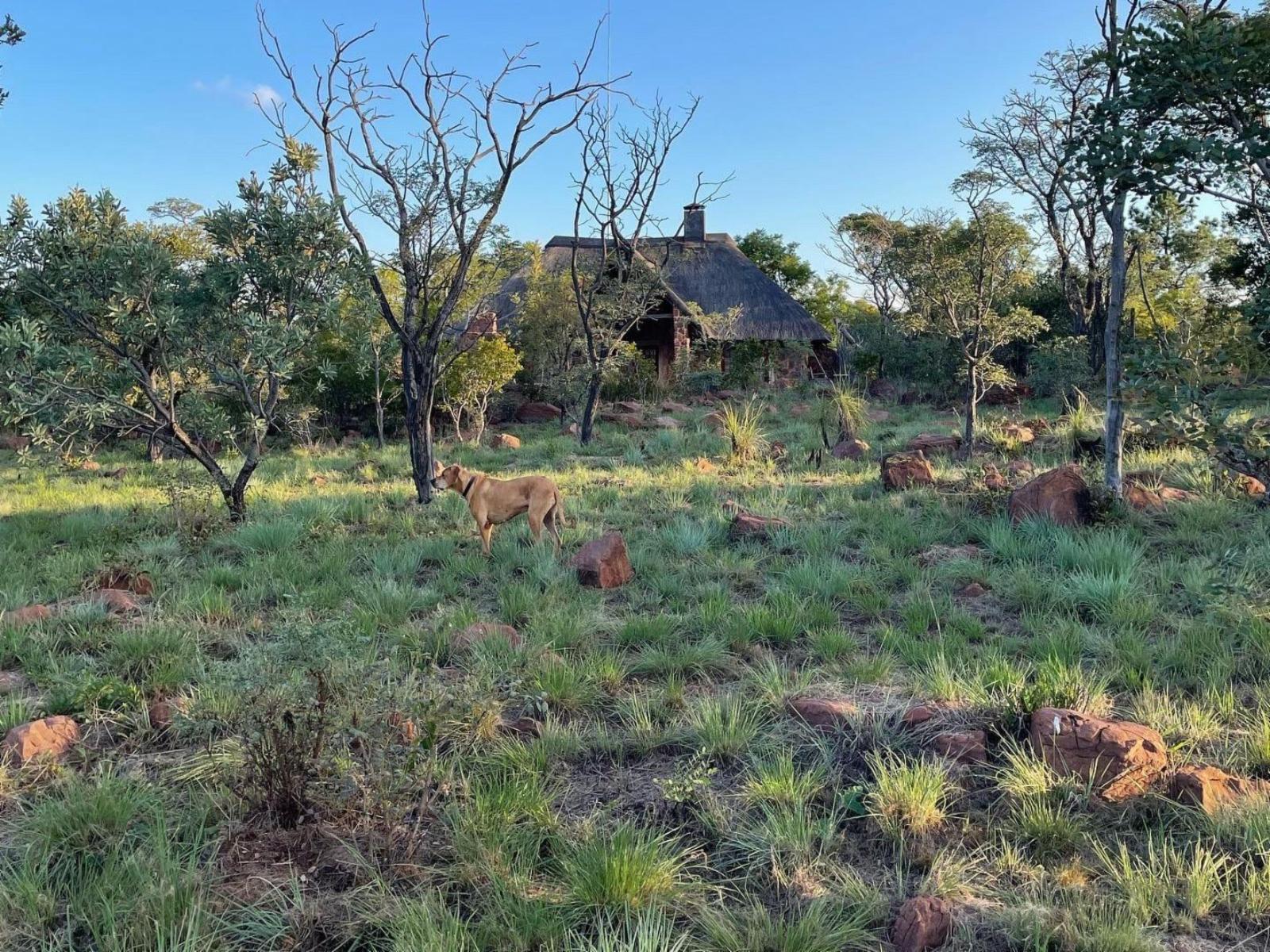 Abloom Bush Lodge & Spa Retreat